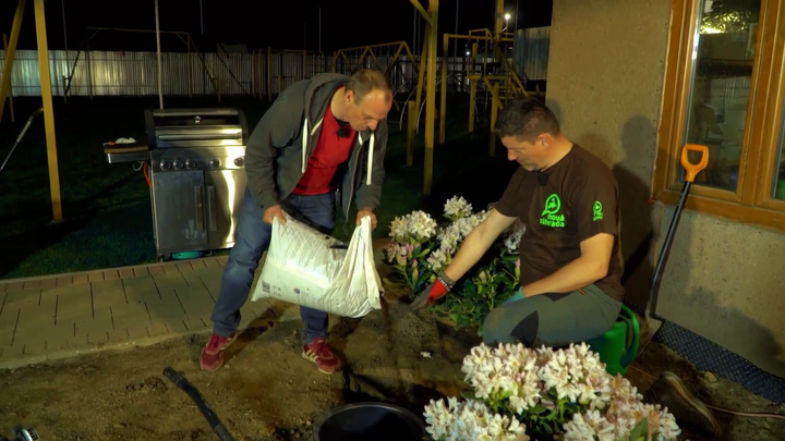 Nova zahrada - zemina